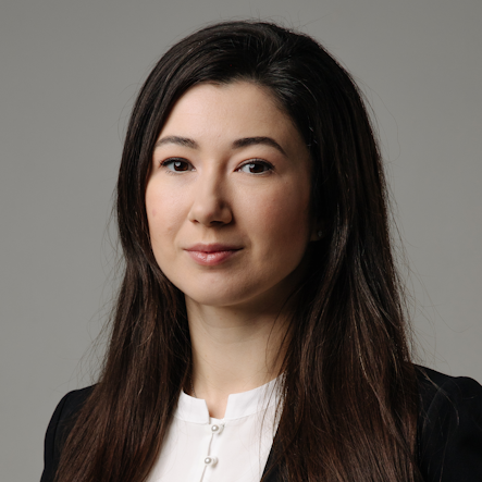 ������ �����